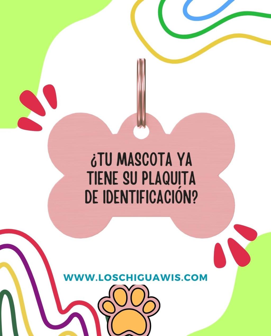 Importancia de las Plaquitas de Identificación