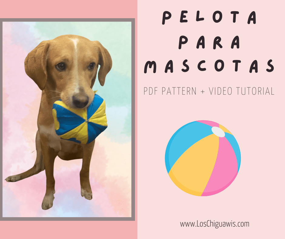Pelota para mascotas